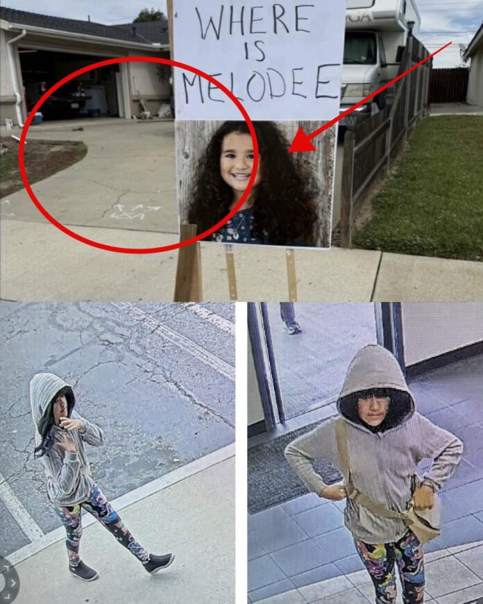 collage