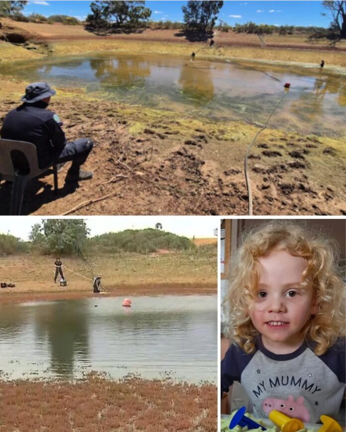 576869035_818708957541639_4094462621414546040_n