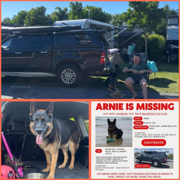 584441239_122152579154860524_4619191012019585512_n