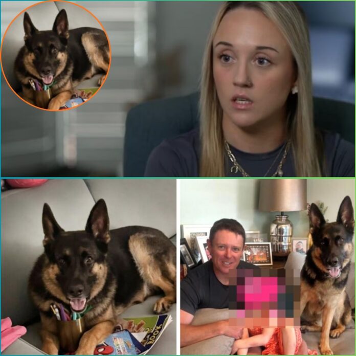 590217727_833355939410274_4471949072203877857_n