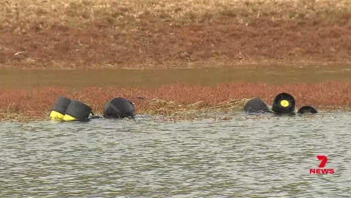 eca9cc785b614f982fdc2ed8ba285c14