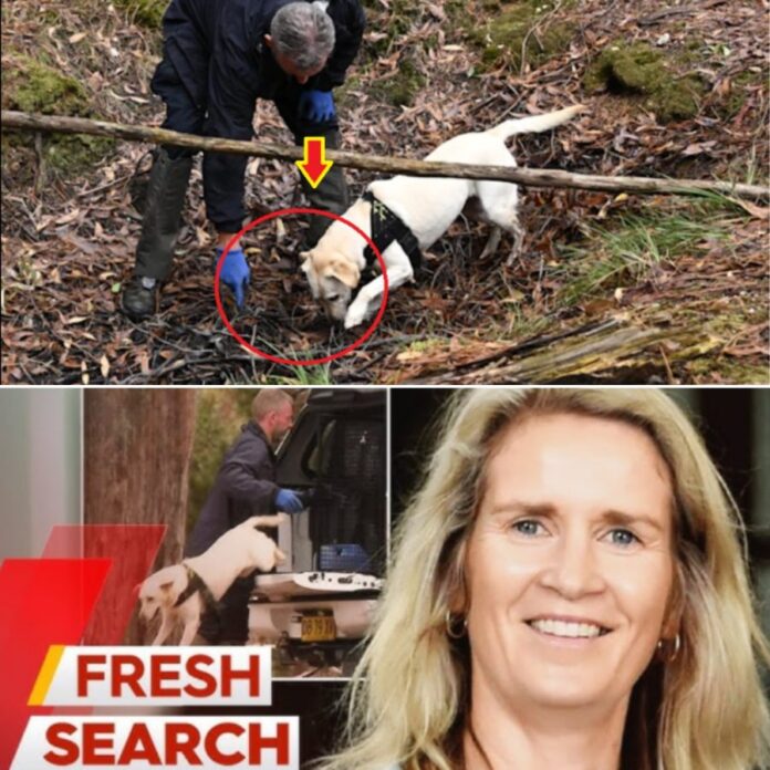 586345040_838033355609199_4949210117405586626_n