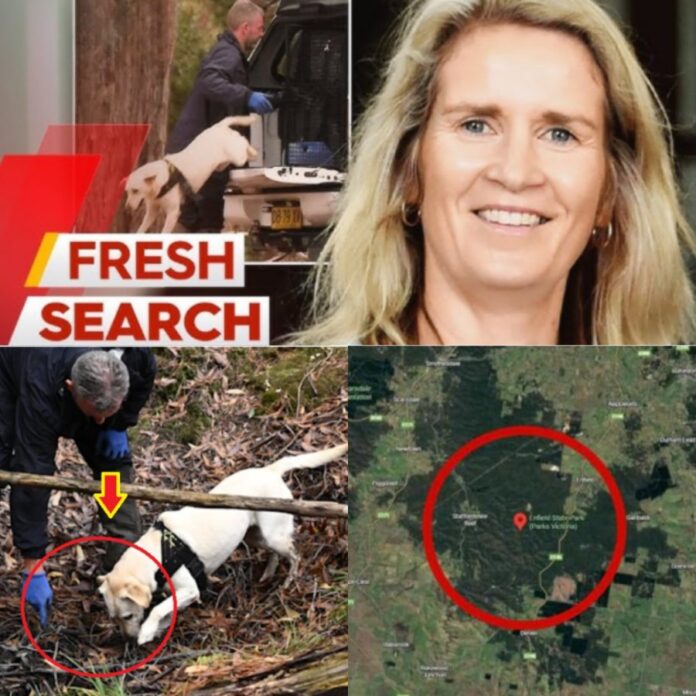 591621180_838744458871422_6398010849817158877_n