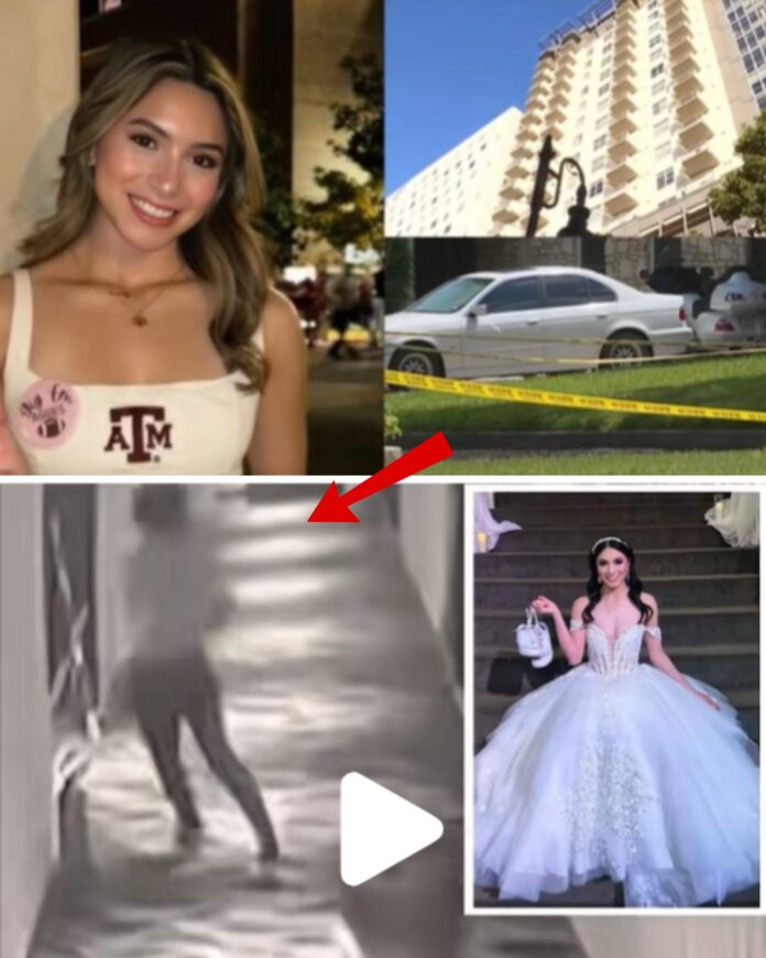 591744625_122201136194350156_4411647221588003549_n