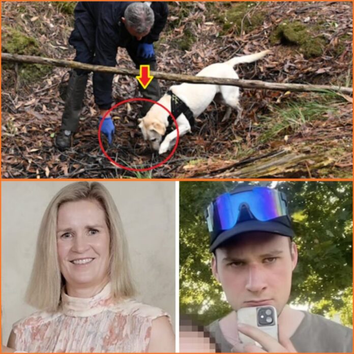 591955263_838206618925206_6079605339197657303_n