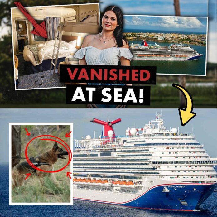 592260185_830677856436814_1727896711423270267_n