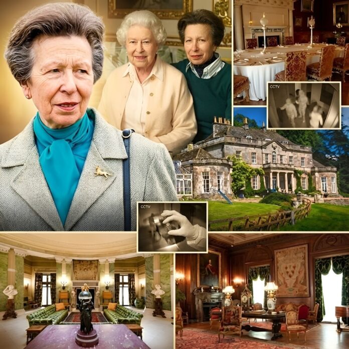 592976171_122231559788149618_8858119820421505675_n