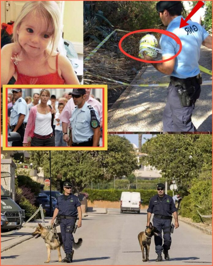 593110390_823769190421311_6914887272764763548_n (1)