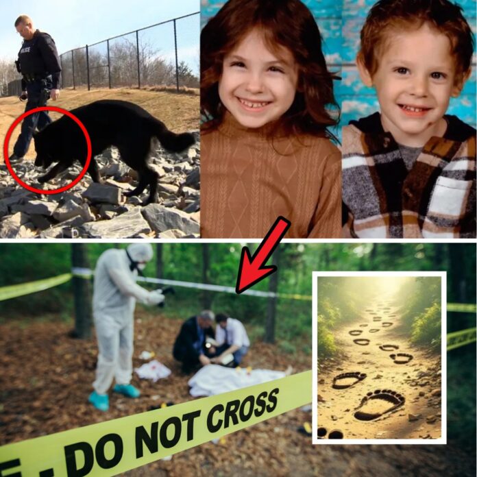 593720552_1408396497312400_7282439131919914315_n