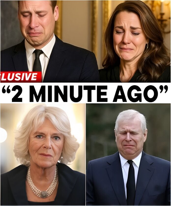 594901229_122251039448251503_3985754102020621612_n