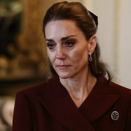 595158913_122172341402596400_442527079673482521_n