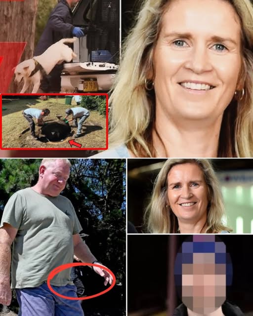 597391073_1416047893213927_6745502059644203358_n