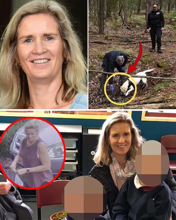 598313676_1416006039884779_3902626988156113375_n