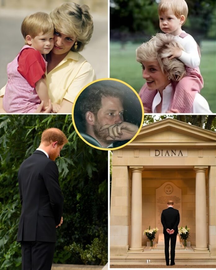 599661813_765470393229013_3656107252507677825_n