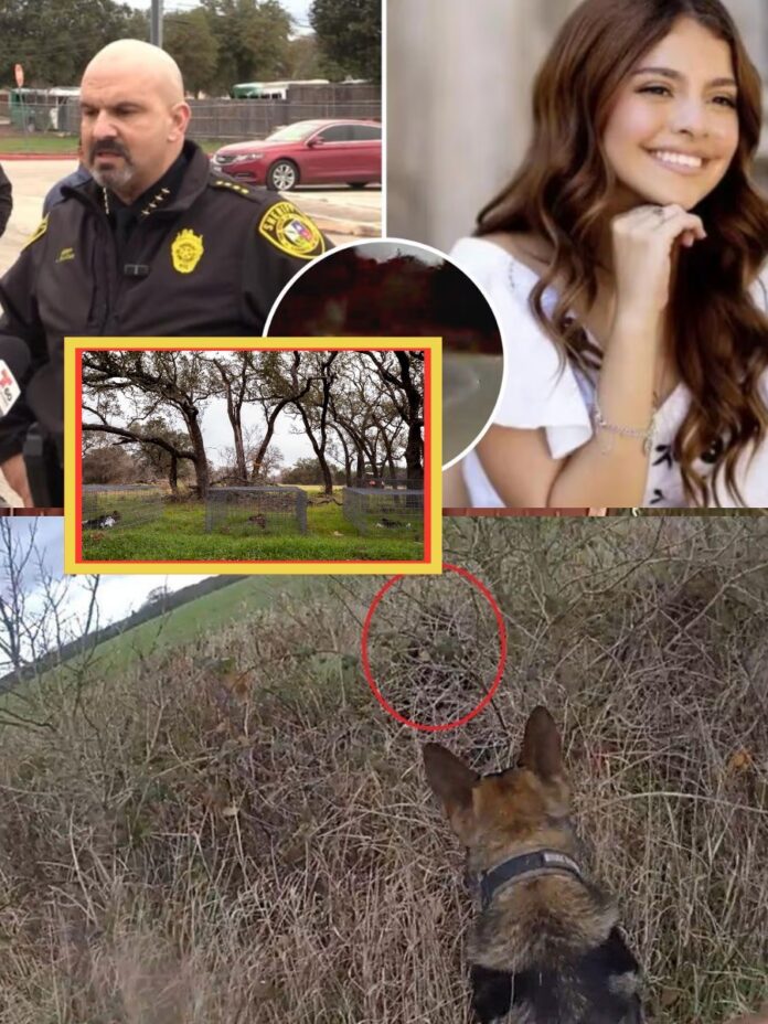 605654988_1367604582050406_2437974393558382221_n