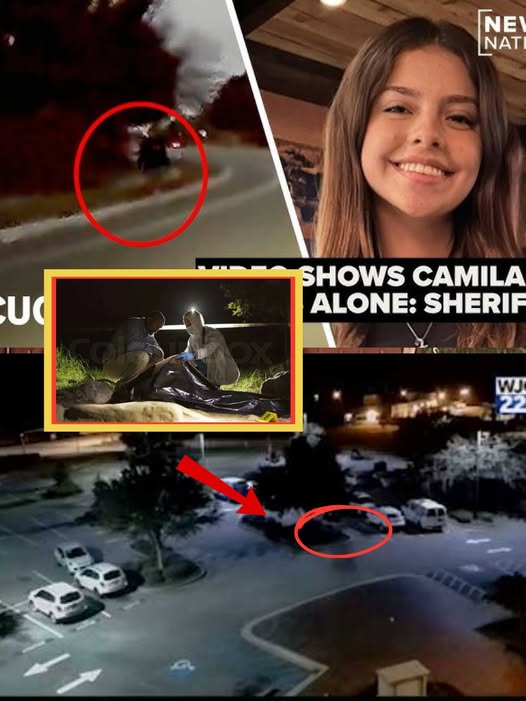 607343220_1367614222049442_8472212723245511277_n (1)