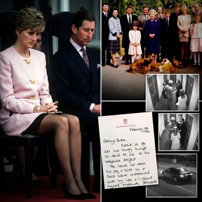 609121125_122235932654149618_4804478090526389425_n