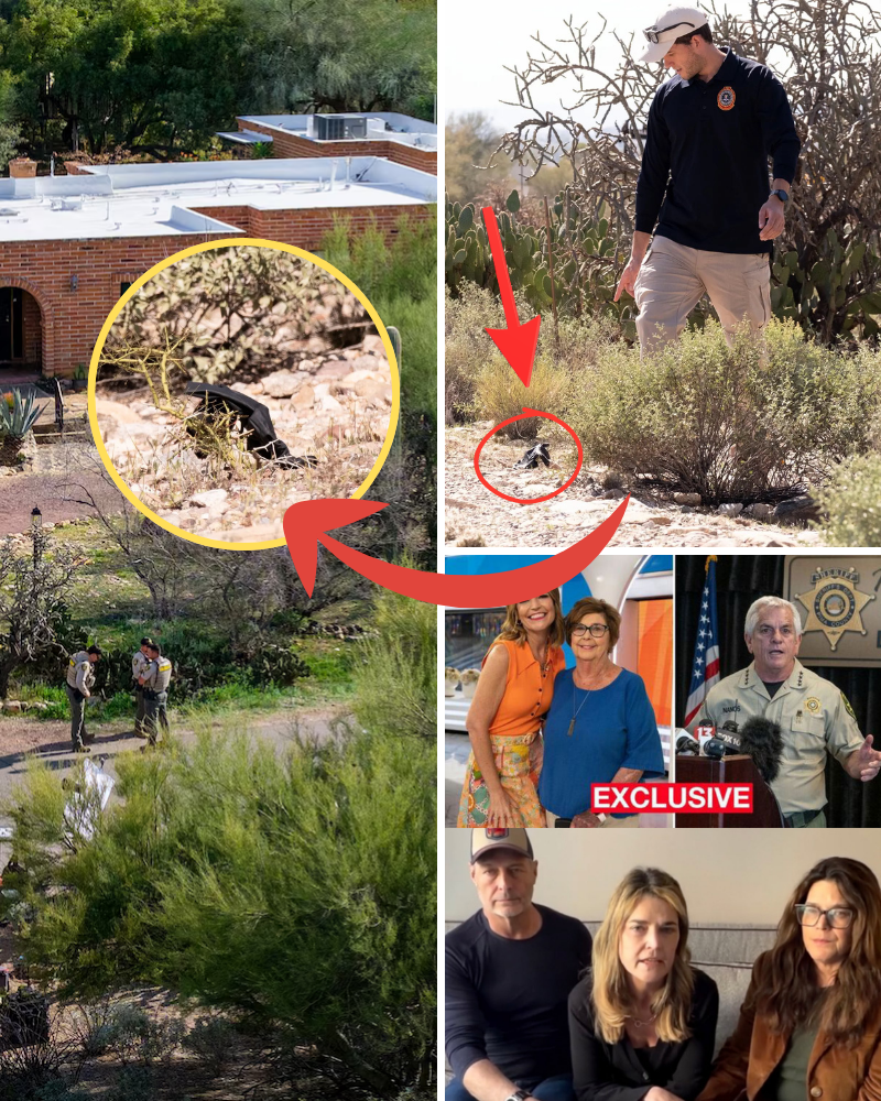 Could those gloves have been placed there by someone unrelated? And if someone did, that’s so shameful!!! Why would they do that?!?