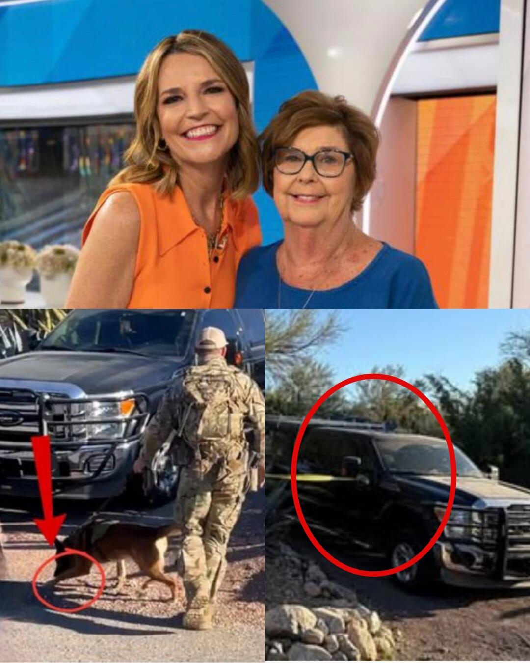 A sniffer dog has just detected a strange smell coming from the bathroom at Savannah Guthrie’s mother’s house