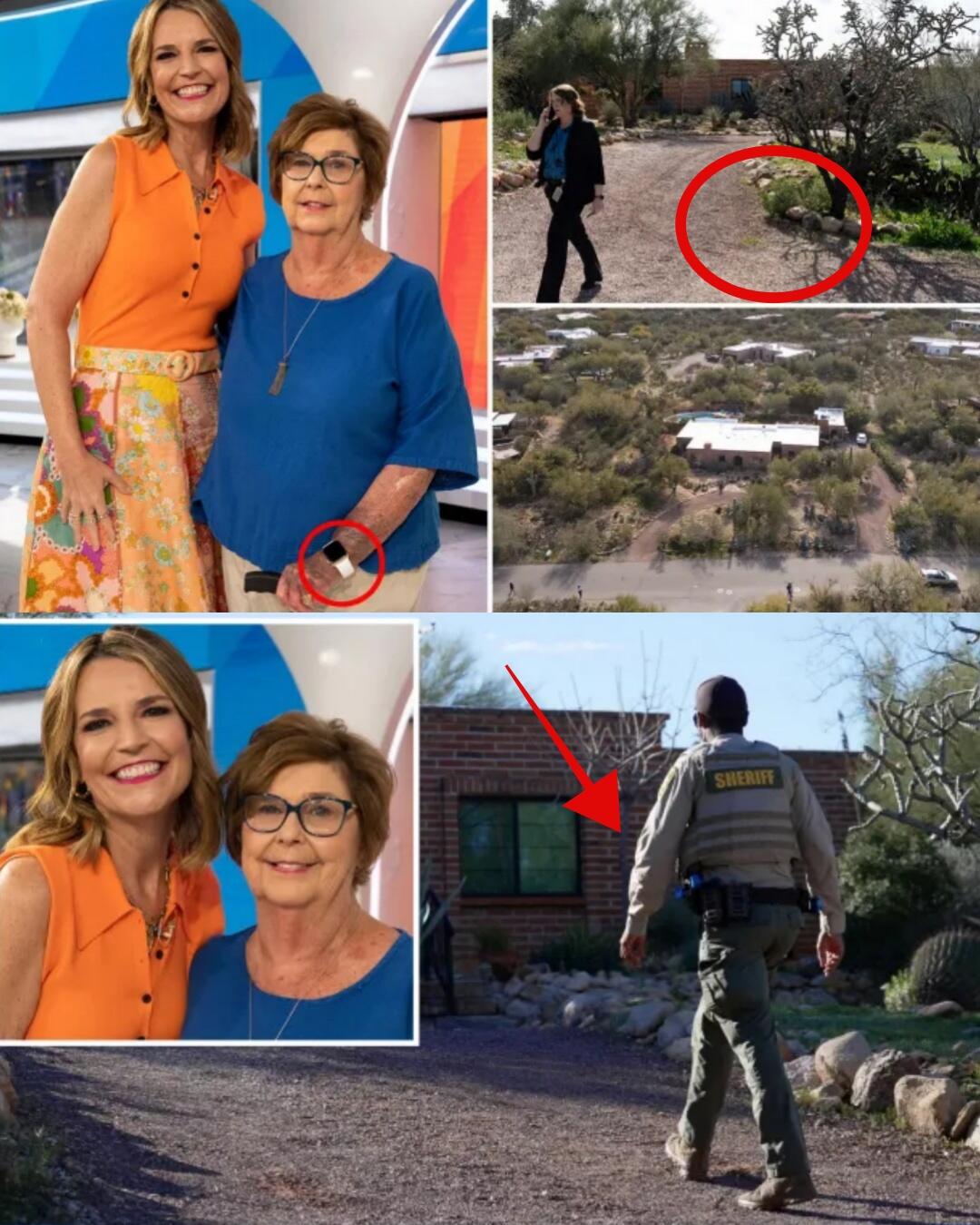 A police dog has just found Nancy Guthrie’s blood-stained shirt deep in the woods