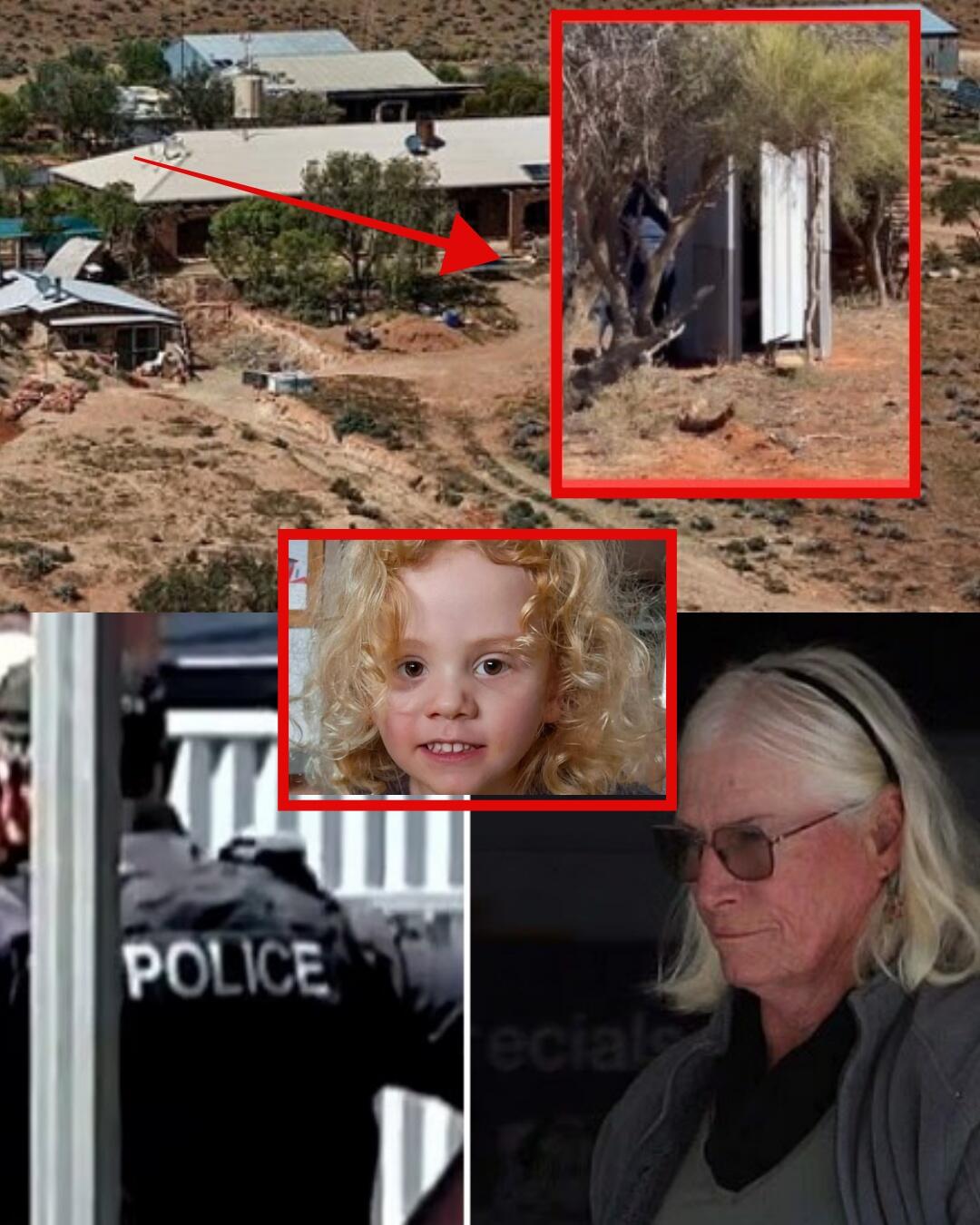 The search team has found the missing DOG along with Gus Lamont in a wild forest 5km from the scene