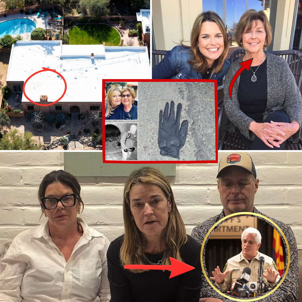 According to the news report, a couple in Arizona found a blood-stained glove and a blood-stained rock in the desert about a mile from Nancy Guthrie’s home: FULL 10-PAGE REPORT IN COMMENTS…