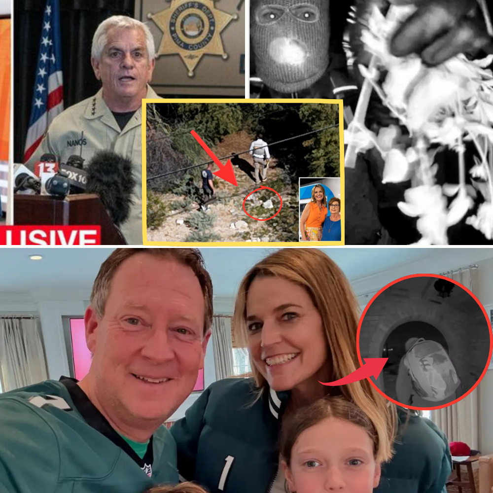 ❗Declassified surveillance video: The “armed” figure in the Nancy Guthrie case has been officially revealed.