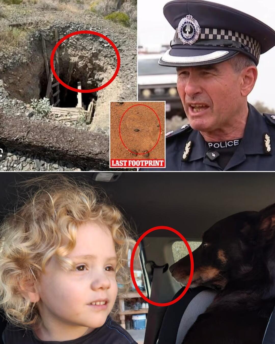 Police have just released the autopsy results for Gus Lamont, determining the cause of death to be…