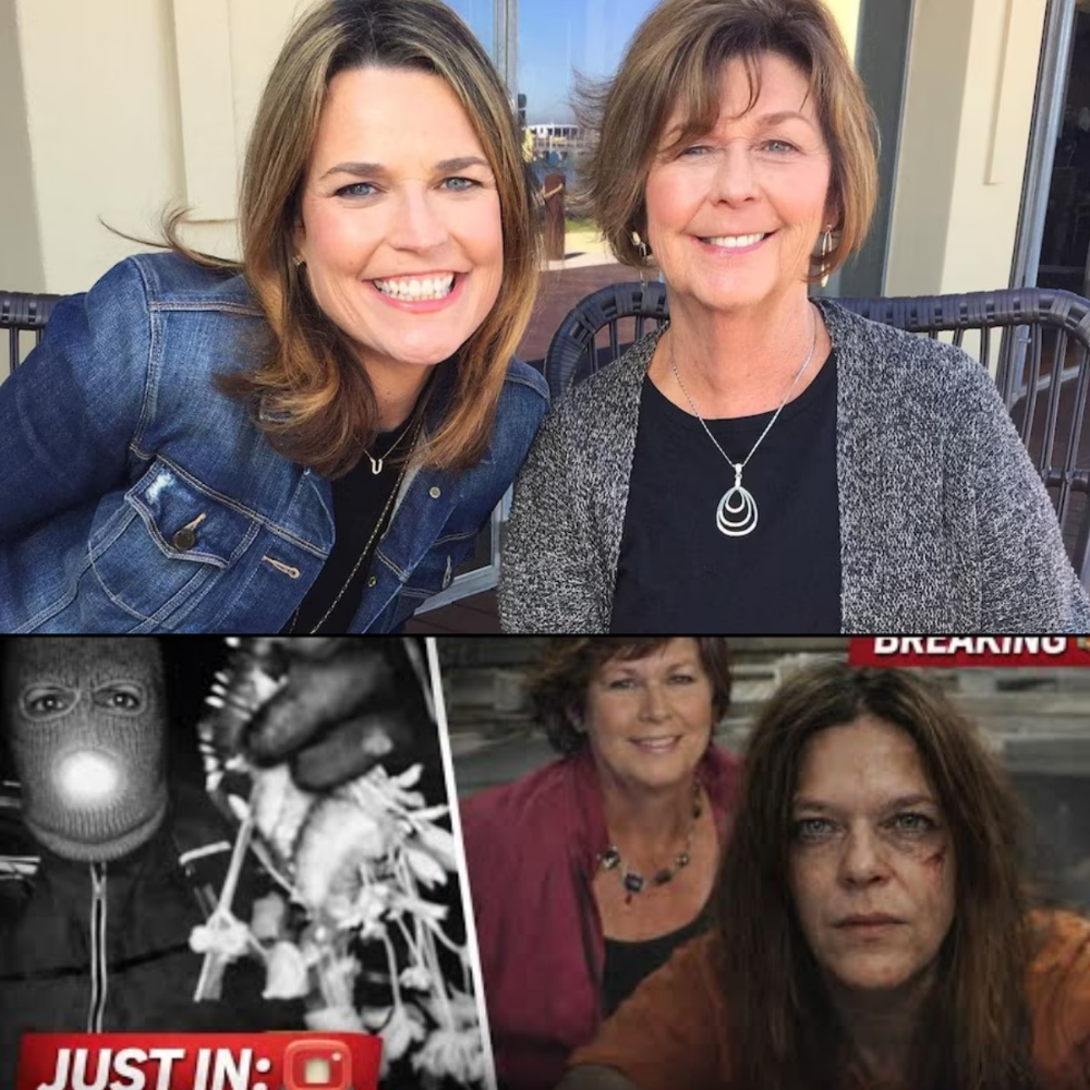 Police dogs tracked Nancy Guthrie’s body, finding the suspect 2km from her home, and DNA at the scene revealed everything…