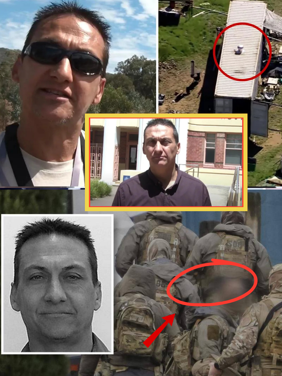 NEW DEVELOPMENT: Evidence in the case of Dezi Freeman suggests more individuals were present than originally reported — and the DNA may reveal who arrived last… 👇👇